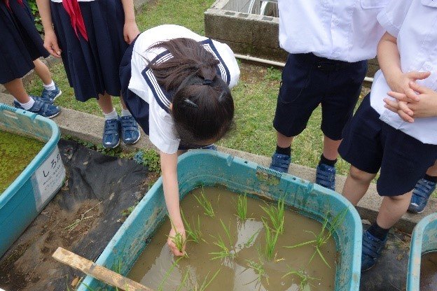 田植え2.jpg
