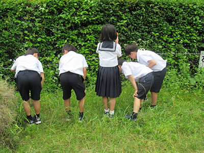 ５月２７日①.JPG