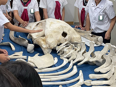 4年校外学習①.jpg